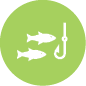 flood plains icon