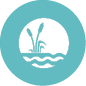 healthy forests icon