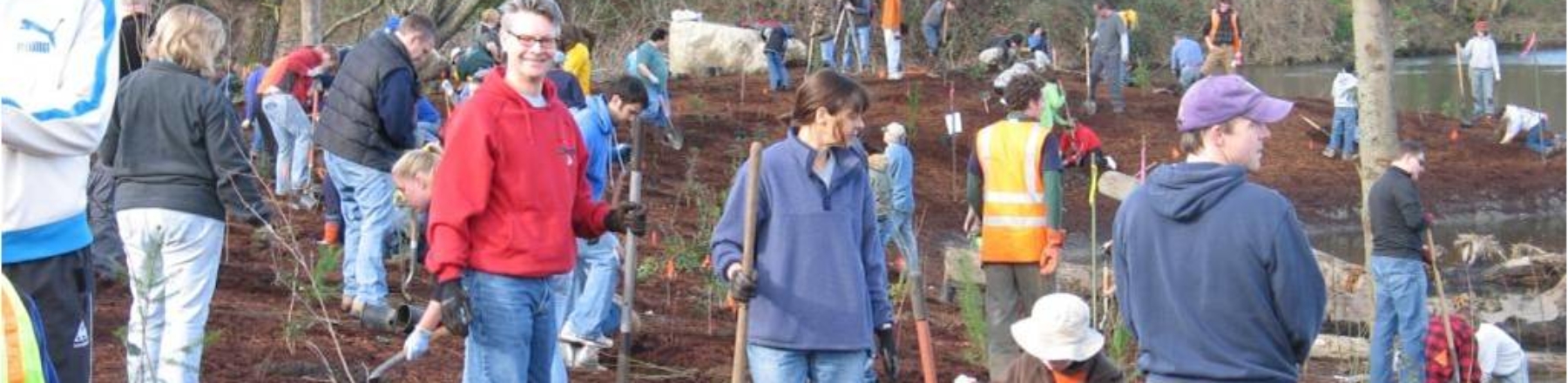 People planting trees for salmon recovery