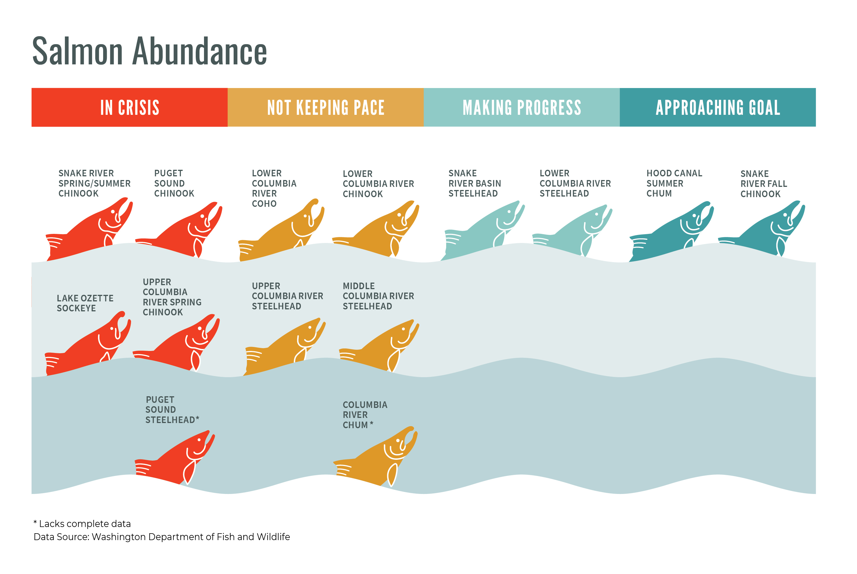 Graphic of the status of each salmon species