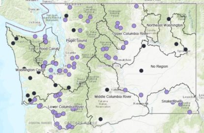 Management of Hatcheries Benefits Salmon - State of Salmon