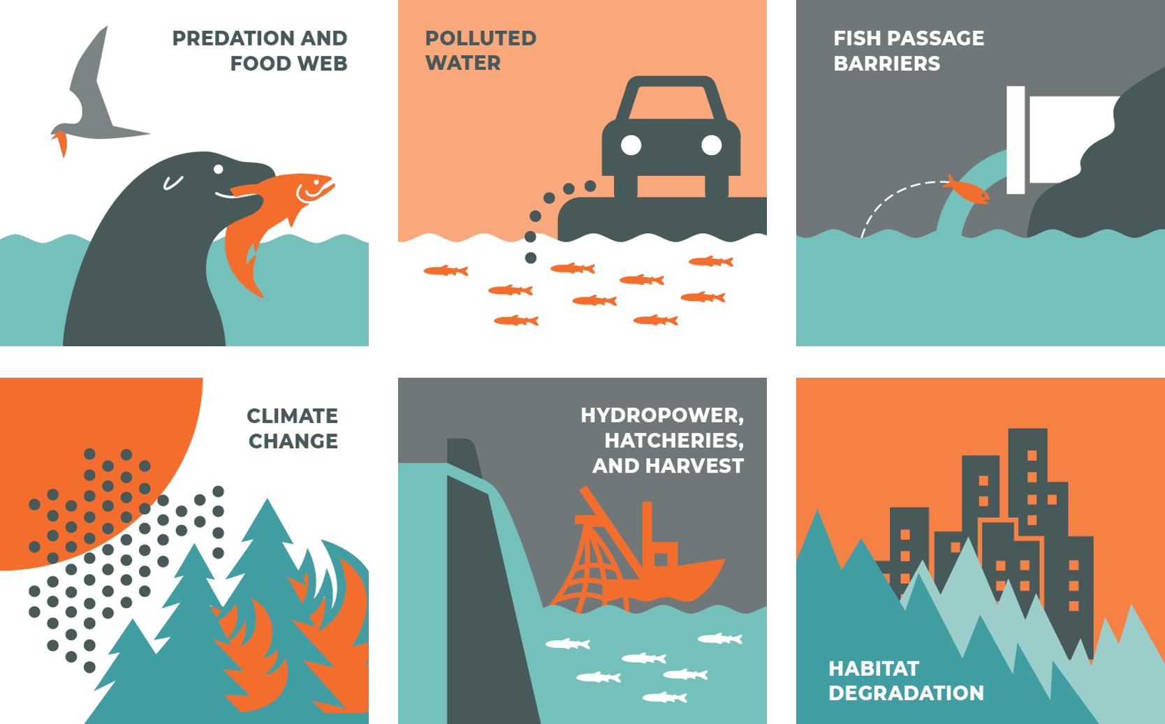 graphic containing 6 squares with a seal, car, pipe, fire, dam, boat, and skyline showing challenges salmon face