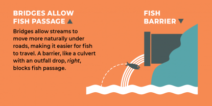 Fish Passage Barriers Block Salmon Migration - State Of Salmon