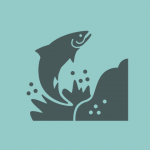 Icon of fish jumping out of water