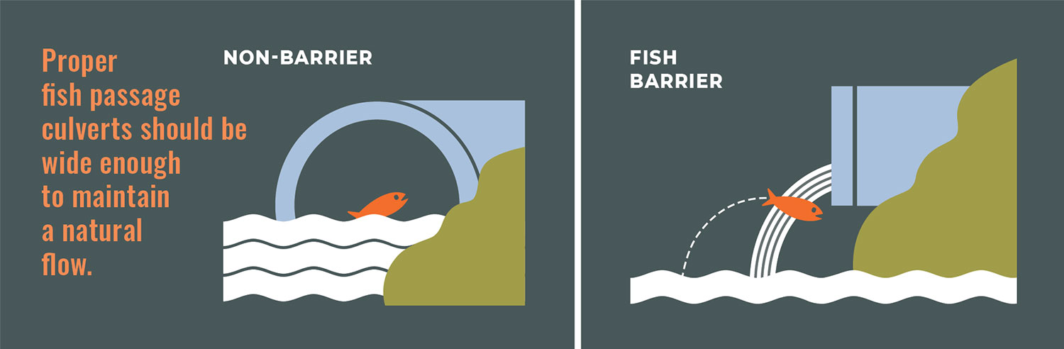 Two graphics with the one on the left showing a fish swimming freely through a pipe and the one on the right showing a fish jumping short of the pipe.