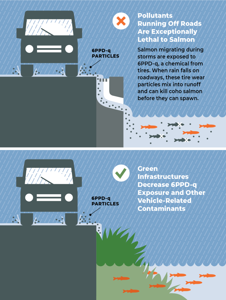 Two stacked graphics showing cars next to stream. Top graphic shows pollution splashing off tires and going into stream and killing fish. Bottom graphic shows splashes running through grass first then stream and not killing fish,