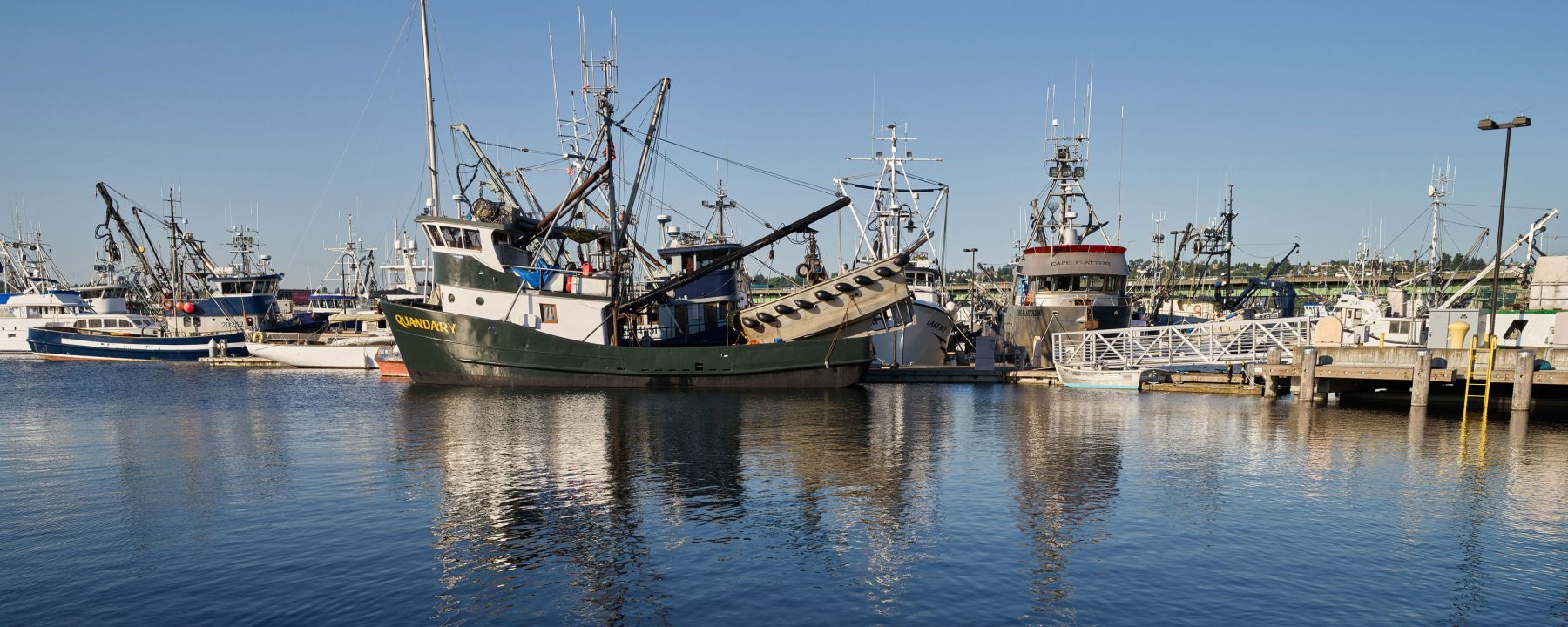 A fleet of fishing boats docked